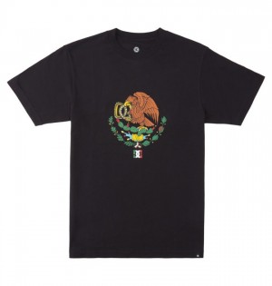 DC Alexis Ramirez Heritage Men's T Shirts Black | TUBDEMK-72